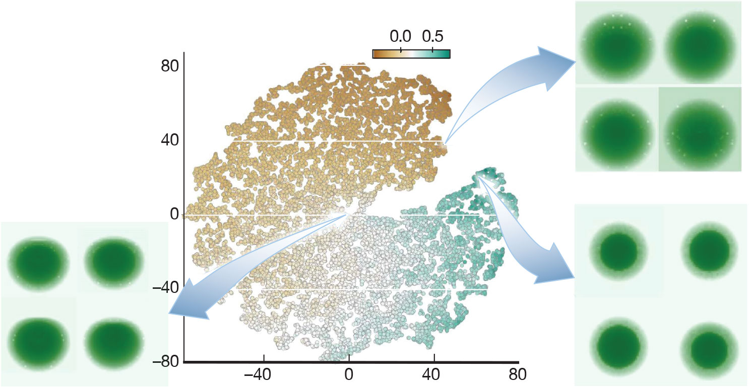 Two-dimensional plot of hundreds of data points clustered in a rough circle. Three insets contain green circles that show variations in ICF image shapes.