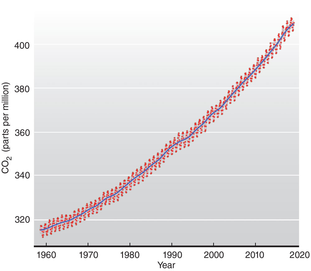 a graph shows accumulation of carbon dioxide in the Earth's atmosphere over time