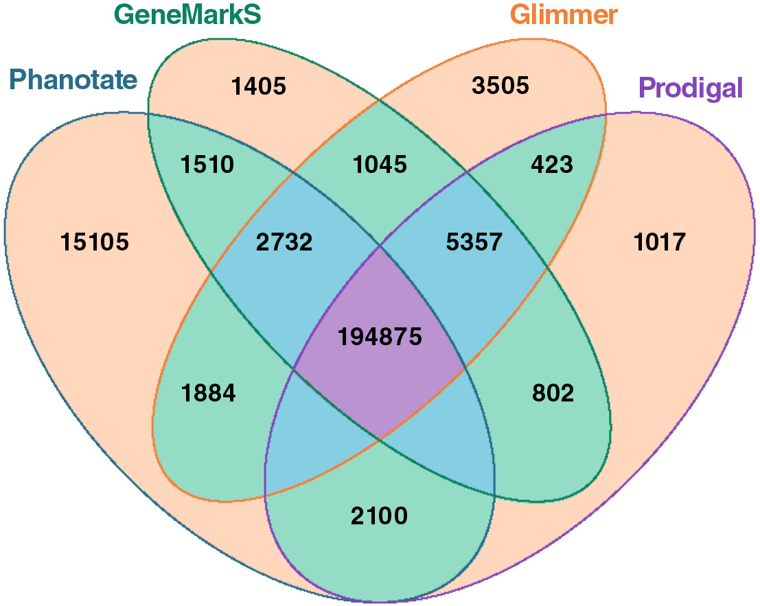 A venn diagram comparing PHANOTATE to other gene finders shows that PHANOTATE identifies the most genes, with 194,875 identified