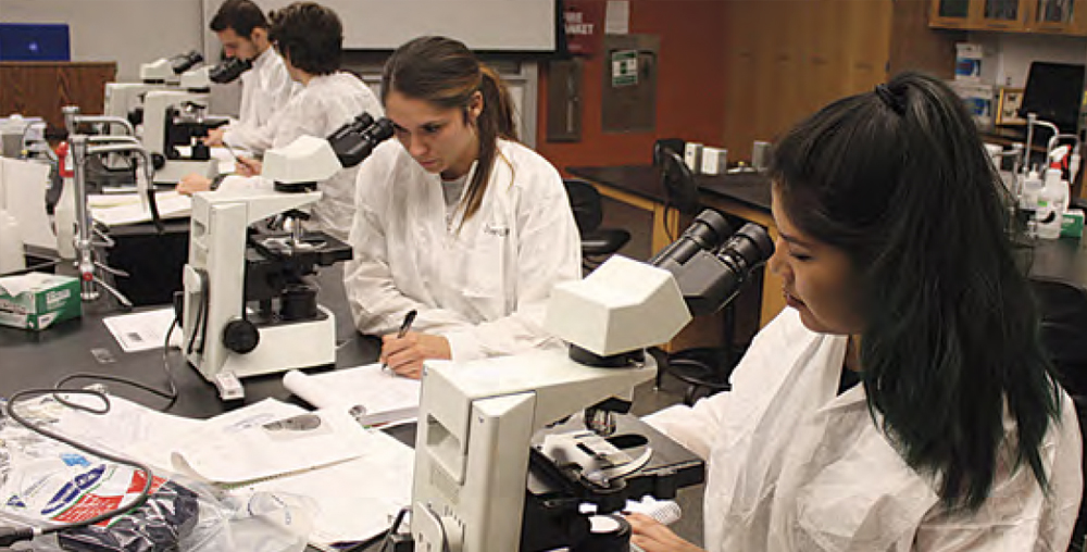 Students sitting in front of microscopes in a laboratory.