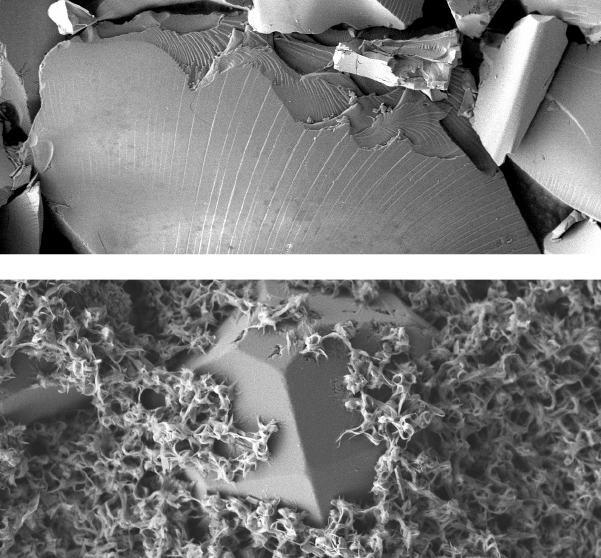Scanning electron microscope images of melt glass.