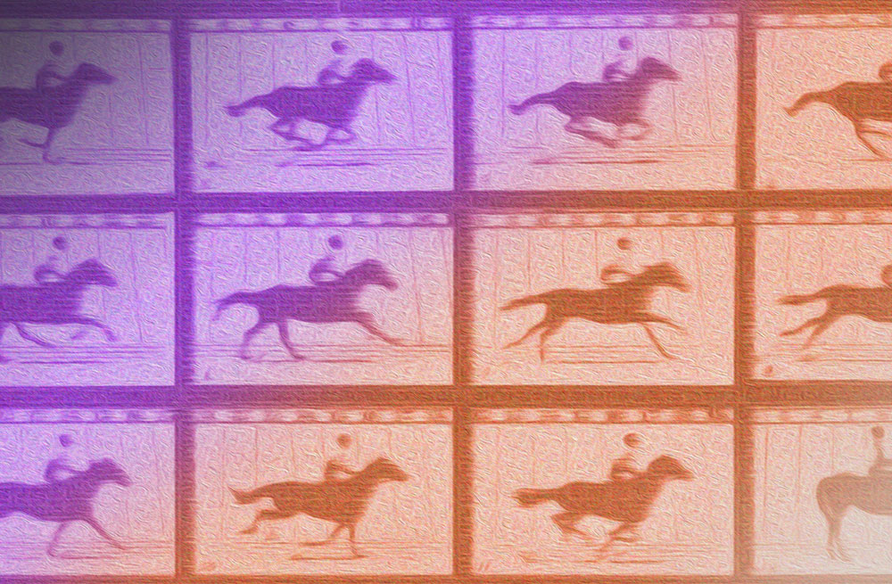 Frame-by-frame images of a horse galloping