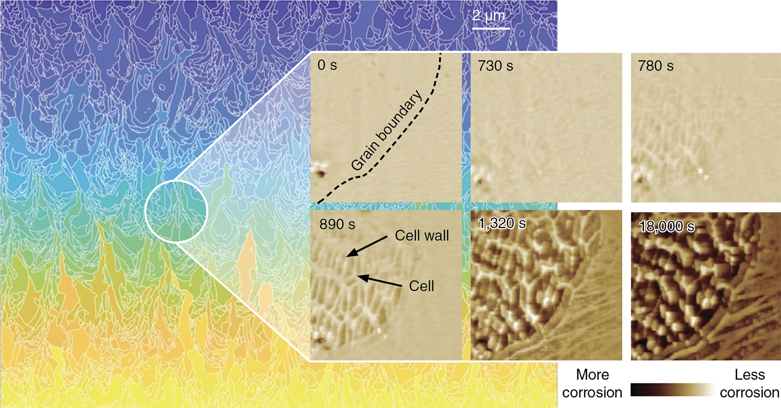 microscope images in the foreground depict the changes to a material over the course of an experiment