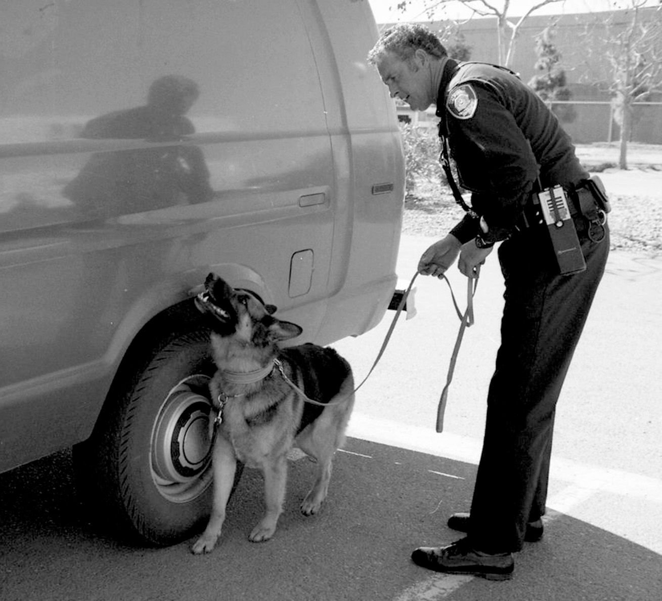 A black-and-white photo of a police officer looking down at a German shepherd dog in a parking area. The dog, on leash, is looking at  the wheel well of a white unmarked van.