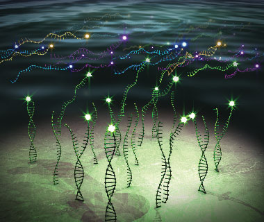 Rendering showing how RNA fragments hybridize to probes.