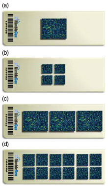 Photograph of four possible microarray configurations.