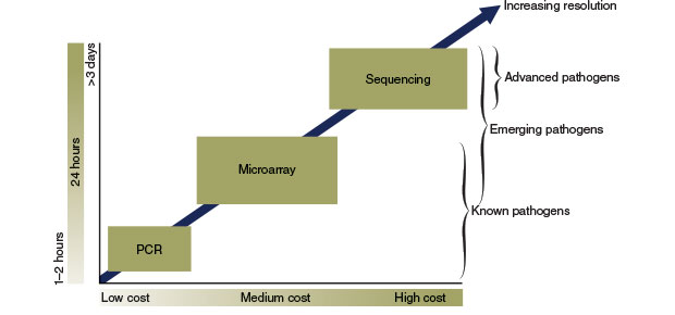Graphic depecting how PCR, DNA sequencing and LLMDA compare in cost and time.