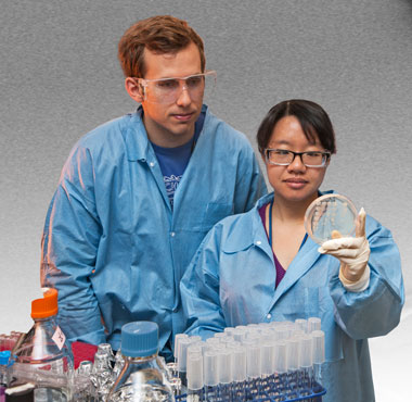 Photo of Dan Park and Mimi Yung in the laboratory with bacteria samples.