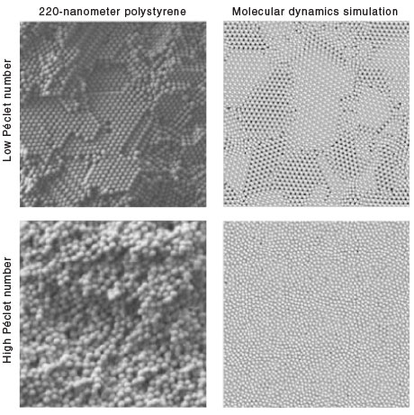 A comparison between experiments using polystyrene beads and molecular dynamics simulations shows the effect of electric field (high or low Péclet number) on the microstructure of the deposited material. The Péclet number can be used to control microstructure over a range of particle sizes.  