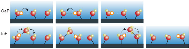 (top) Although hopping of adsorbed atomic hydrogen between neighboring surface sites occurs on both gallium-phosphide (GaP) and indium-phosphide (InP), Livermore simulations show that hopping tends to stay more local on GaP because hydrogen forms more rigid bonds with the material. (bottom) InP bonds are looser, allowing the hydrogen to cover more territory in the same amount of time. As a result, InP bonds are more efficient for producing diatomic hydrogen gas, as InP enables individual hydrogen atoms to find more favorable surface sites to interact with other hydrogen species.  