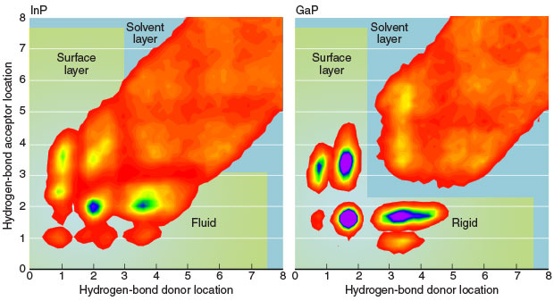 Simulations indicate the density of hydrogen bonds formed at the interface between (left) water and InP, and (right) water and GaP, based on the distances of the bond-donor and bond-acceptor species from the material surface. Purple is the region of highest density. Blue and green outline the surface-adsorbing layer and the first layer of solution, respectively. The hydrogen bonds are less structured and exhibit more topological variety for the InP–water interface, which consequently is more fluid and dynamic than the GaP–water interface. 
