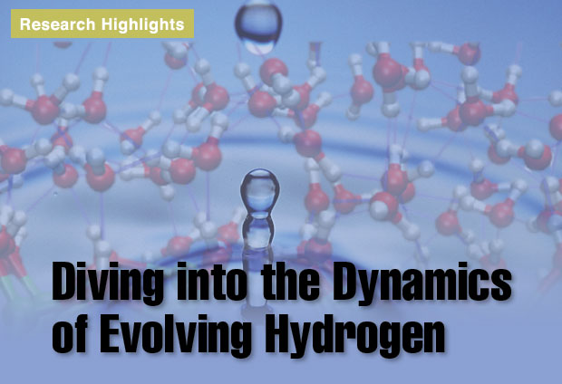 Article title: Diving into the Dynamics of Evolving Hydrogen