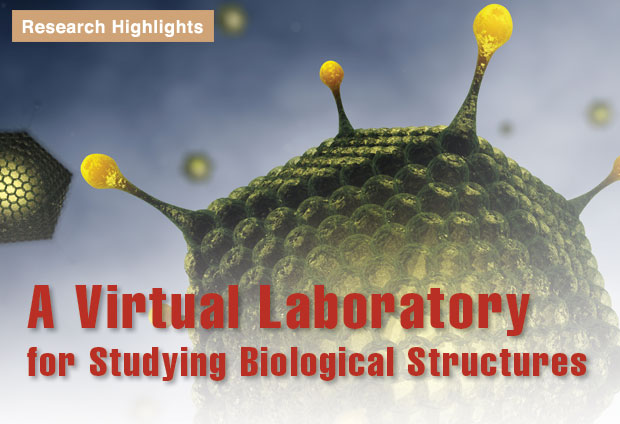 Article title: A Virtual Laboratory for Studying Biological Structures