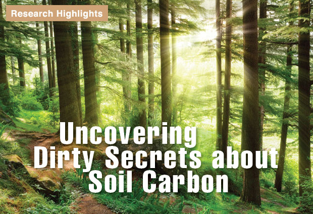 Uncovering Dirty Secrets about Soil Carbon