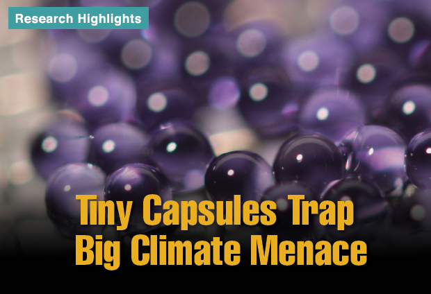 Article title: Tiny Capsules Trap Big Climate Menace