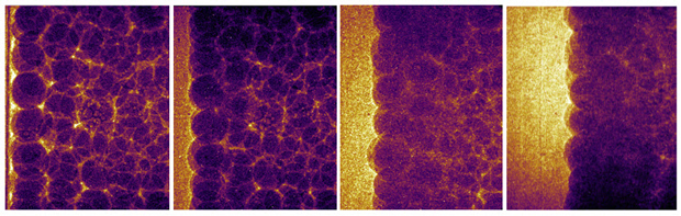 Livermore researchers have used x-ray imaging to see the dynamic response of 200-micrometer-diameter glass beads during a proof-of-concept gas-gun experiment performed in collaboration with Los Alamos National Laboratory at the Advanced Photon Source, located at Argonne National Laboratory. Images were recorded at four different times during the experiment (from left, earliest to latest).