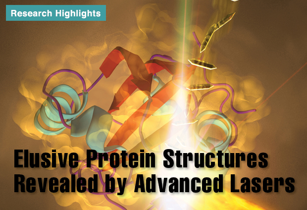 Article title: Elusive Protein Structures Revealed by Advanced Lasers
