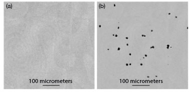 (a) Optics sprayed with an aerosol of deionized water showed no visible submicrometer precipitates under optical microscopy prior to laser exposure. (b) After large-area damage tests with nanometer light pulses, precipitate sites could be clearly seen.