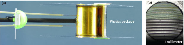 (a) The target for a strength experiment features a 9-by-14-millimeter hohlraum. Positioned over a side hole in the hohlraum is a 2-millimeter-thick, multilayered physics package containing a reservoir of five different materials, gold and plastic x-ray shields, and a sample of the metal of interest. (b) The metal sample is imprinted under a microscope with two-dimensional sine-wave patterns. The imprinted ripples grow when they experience the pressure wave generated in the experiment. 
