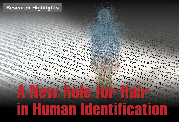 Article title: A New Role for Hair in Human Identification