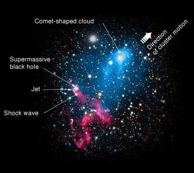 Combining radio (red), x-ray (blue), and optical (background field of galaxies) data, astronomers discovered what happens when a jet-like eruption of particles from a supermassive black hole is swept up in the collision of two galaxy clusters. The particles, initially ejected at relativistic speeds, slow down over millions of years before being re-accelerated by the shock waves of the merging galaxies. The comet-shaped x-ray-emitting cloud (top of image) indicates the hot gas of one cluster plowing through the hot gas of the other. (Image courtesy of NASA.)