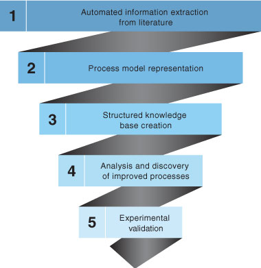 The team has a five-step approach for accelerating materials synthesis, optimization, and scale-up. Machine-learning algorithms first extract information from the scientific literature, providing information that can be used to develop process models. These process models are integrated into a structured knowledge base to analyze and discover optimized procedures and conditions for materials synthesis. Users can query the knowledge base for a particular material and then experimentally validate synthesis processes in the laboratory. 
