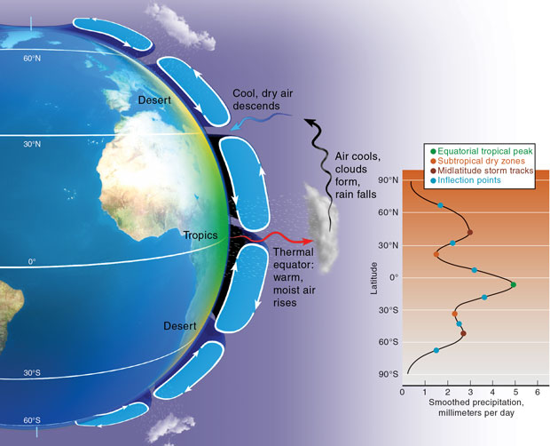 (left) Wind circulation patterns in each hemisphere help transport moist equatorial air toward the poles. These loops are driven by such properties as Earth's size, rotation rate, atmospheric depth, and heating. (below) A smoothed map of satellite data reveals distinct zones of wet and dry land produced by the circulation patterns. Livermore researchers used this information to detect changes in the location and intensity of global precipitation over the past three decades. (Rendering by Kwei-Yu Chu.)