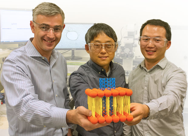 LLNL scientists (from left to right) Aleksandr Noy, Kyunghoon Kim, and Jia Geng hold up a model of a carbon nanotube that can be inserted into live cells, an achievement with potentially revolutionary applications in medicine and other fields. (Photograph by Julie Russell.) 