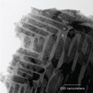 Micrograph of an as-cast uranium–zirconium alloy.  