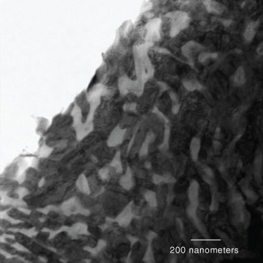 Micrograph of the uranium–zirconium alloy showing loss of lamellar structure after irradiation. 