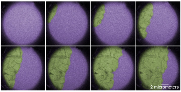 Livermore’s “movie mode” DTEM enables real-time monitoring of phase transitions from amorphous to crystalline states. This series of images reveals rapid crystal growth (green) in the amorphous solid germanium telluride (purple). The crystal growth is induced by a series of 15.5-nanoseconds-long, 4.7-microjoule laser pulses. (Micrograph by Melissa K. Santala, now at Oregon State University.)