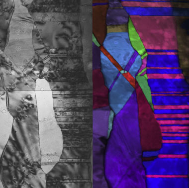 (left) A TEM image shows the topology of grain boundaries in nanocrystalline copper subjected to radiation-resistance testing. (right) Arbitrary colors used to highlight grains reveal radiation-induced voids clustering near the highly ordered, parallel-sided boundaries of grains colored magenta. 