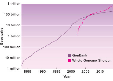 As genome-sequencing processes become easier to execute, the amount of genome sequence data steadily increases with time. This graph shows sequenced genome data measured in base pairs over time, from two genome databases. The data influx poses a need for scalable software such as the Livermore Metagenomic Analysis Toolkit (LMAT), which enables users to identify pathogens including diseases, bacteria, viruses, fungi, and other organisms.