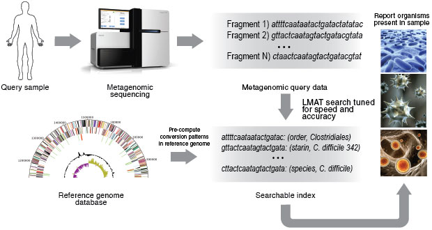 Using LMAT, nucleic acids extracted from a query sample undergo sequencing to recover short genetic fragments. Fragments are searched against an index to identify organisms present.