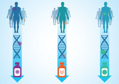 As depicted in this graphic, the goal of the Precision Medicine Initiative is to help physicians choose the best cancer treatment for patients by taking into account the individual variability in their genes, the microbes in and on their bodies, and their physical environment, health history, lifestyle, and diet. (Image courtesy of the National Cancer Institute.)  