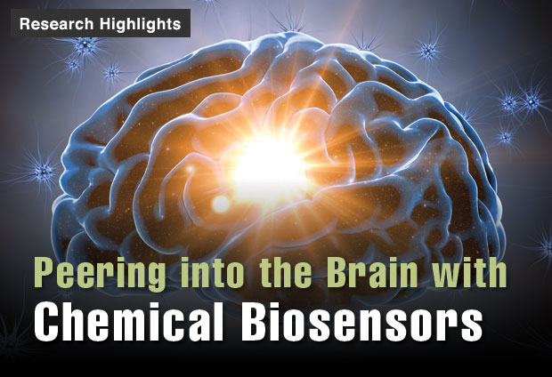 Peering into the Brain with Chemical Biosensors