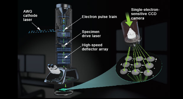 Diagram of movie-mode dynamic transmission electron microscope.