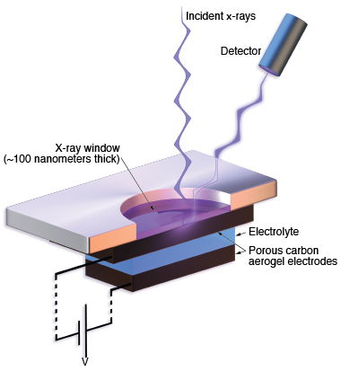 To enable measurements of supercapacitor electrodes while they operate, Livermore researchers built a vacuum-compatible cell that measured 2 centimeters in diameter and contained a tiny supercapacitor (5 millimeters tall and 0.1 millimeter thick) placed in an aqueous solution of sodium chloride, the electrolyte.