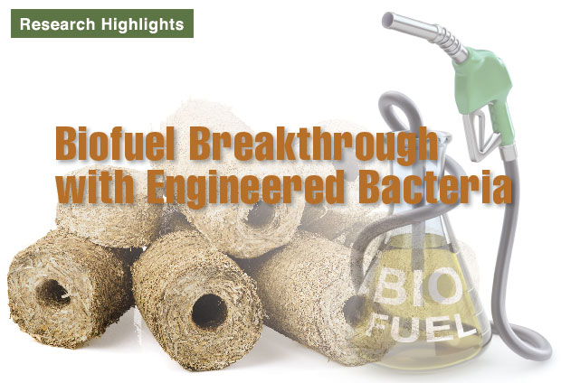 Article title: Biofuel Breakthrough with Engineered Bacteria